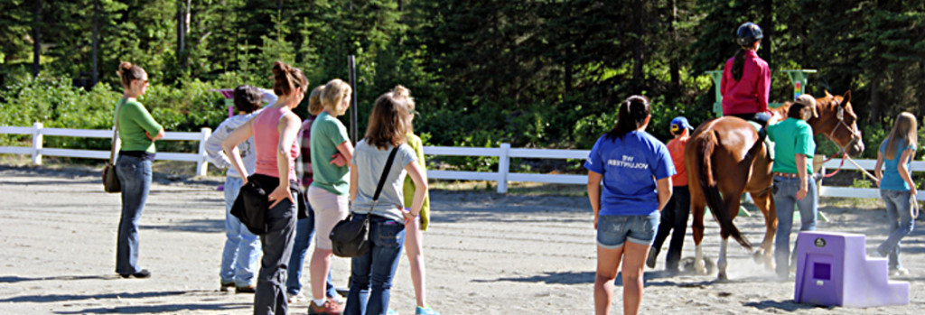 Equine Assisted Therapy Alaska